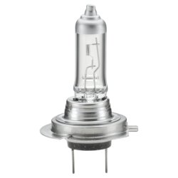 Halogen pre H7 12V/55W PX26D Long life