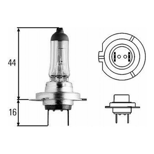 Halogen pre H7 12V/55W PX26D Long life